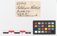 Etiketten zu Bernsteinperle (NHMW-PRAE-023743)